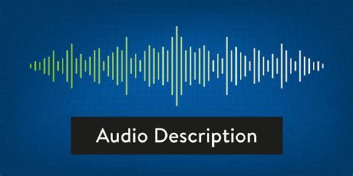 AUDIO DESCRIPTION