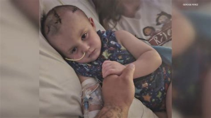 Blase Raia and Brooke Zimmerman Died by Fatal Gunshot Wounds, Murder-Suicide Suspected