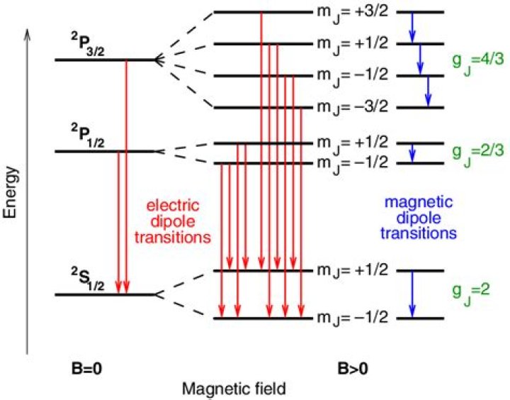Dipole Transitions