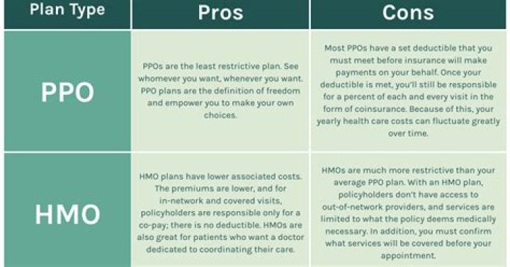 Health Insurance Terms Explained HMO EPO and PPO Plans