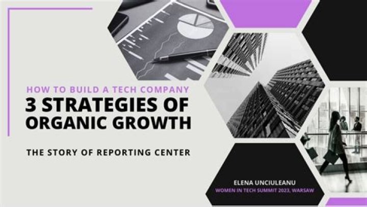 Mastering three strategies of organic growth