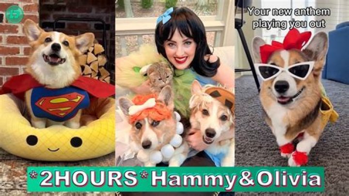 Olivia, the Famous Corgi from ‘Hammy and Olivia’ Known for Their Funny Content, Dies at 8